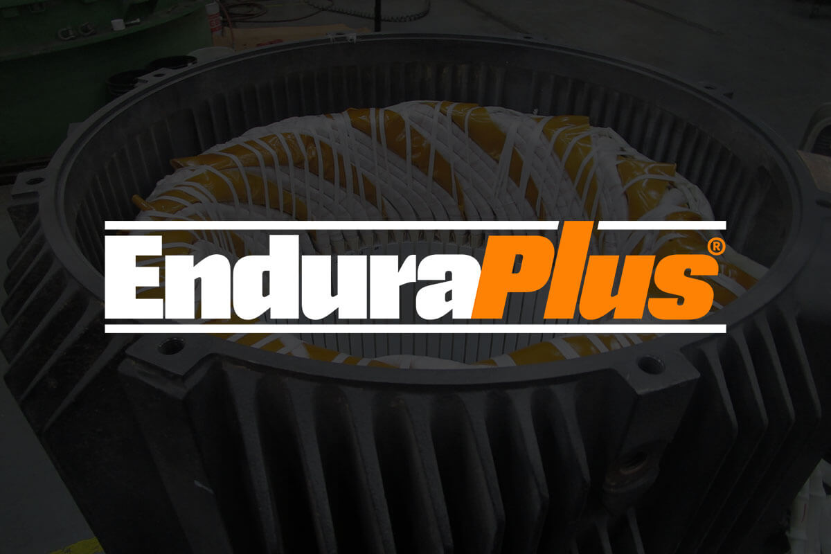 EnduraPlus<sup>®</sup> process
